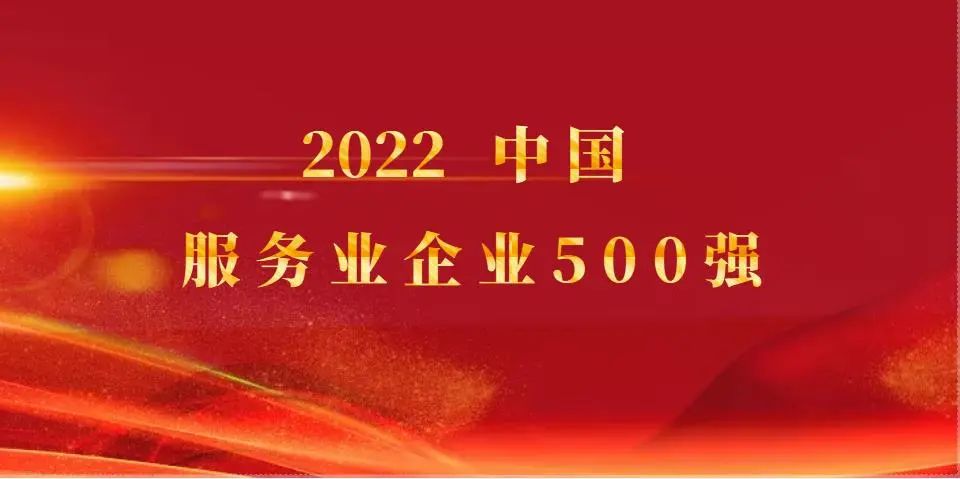 宁兴控股继续入选2022中国服务业企业500强