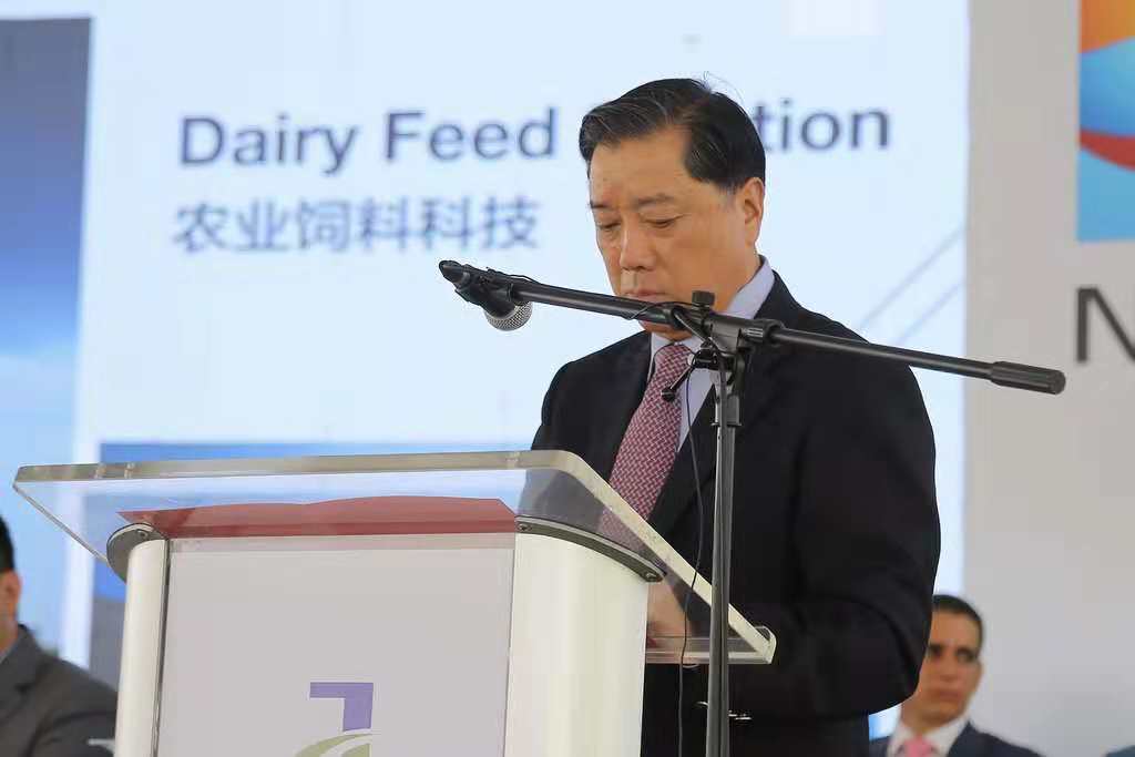 宁兴控股首个海外实业投资项目——宁兴•多米尼加DJM胶鞋基地顺利投产并举行隆重开工典礼